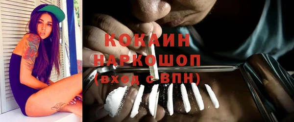 Альфа ПВП Гусь-Хрустальный