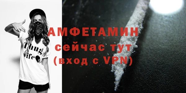 гидропоника Гусиноозёрск