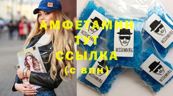 гидра Горно-Алтайск