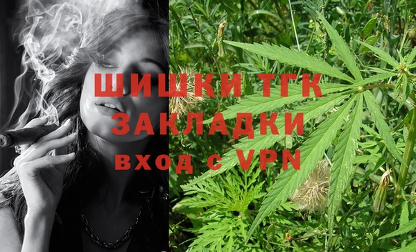 гидра Горно-Алтайск