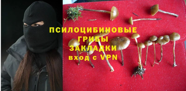 гидра Горно-Алтайск