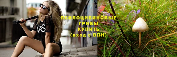 гидра Горно-Алтайск