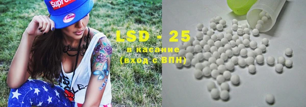 гидра Горно-Алтайск