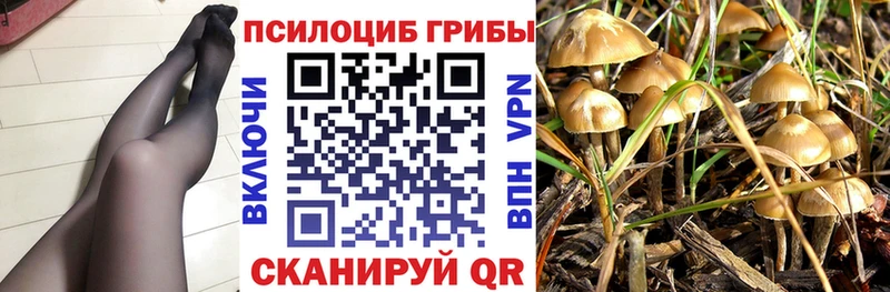Галлюциногенные грибы Psilocybe  Купить  Петров Вал 